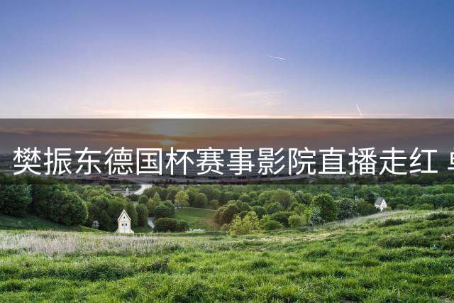 樊振东德国杯赛事影院直播走红 单场票房破百万创纪录